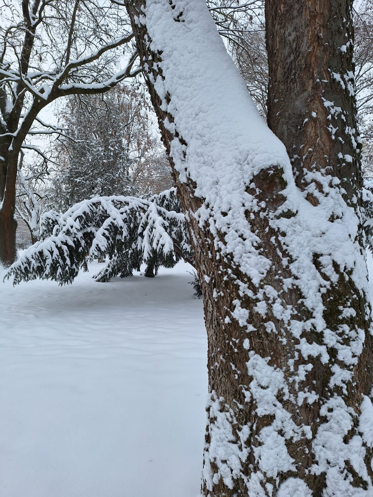 d932c3ee-771c-4f69-b535-133dae2e0fda