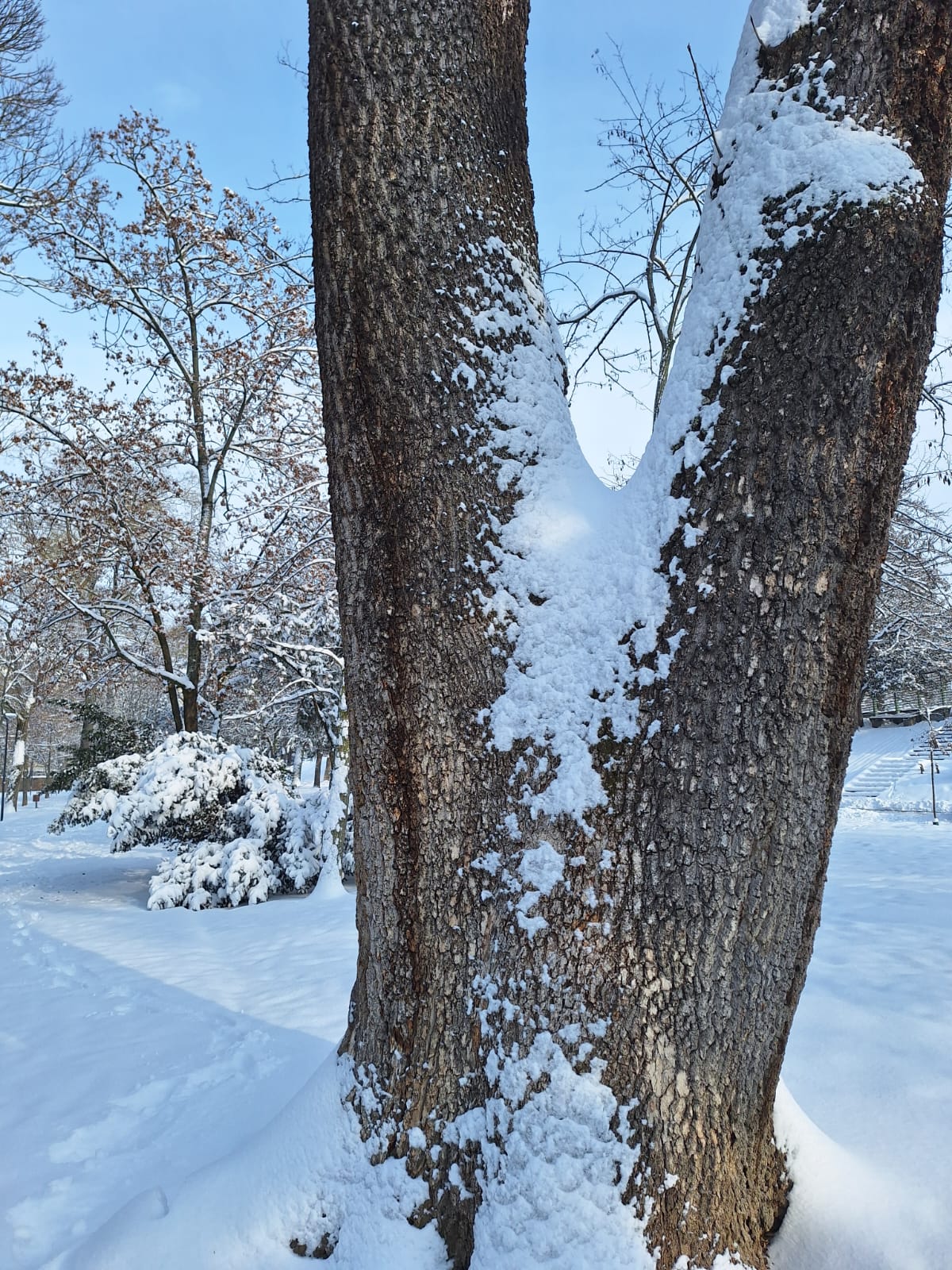 dcc19e78-0938-4ced-89cc-f76eafa2b13c