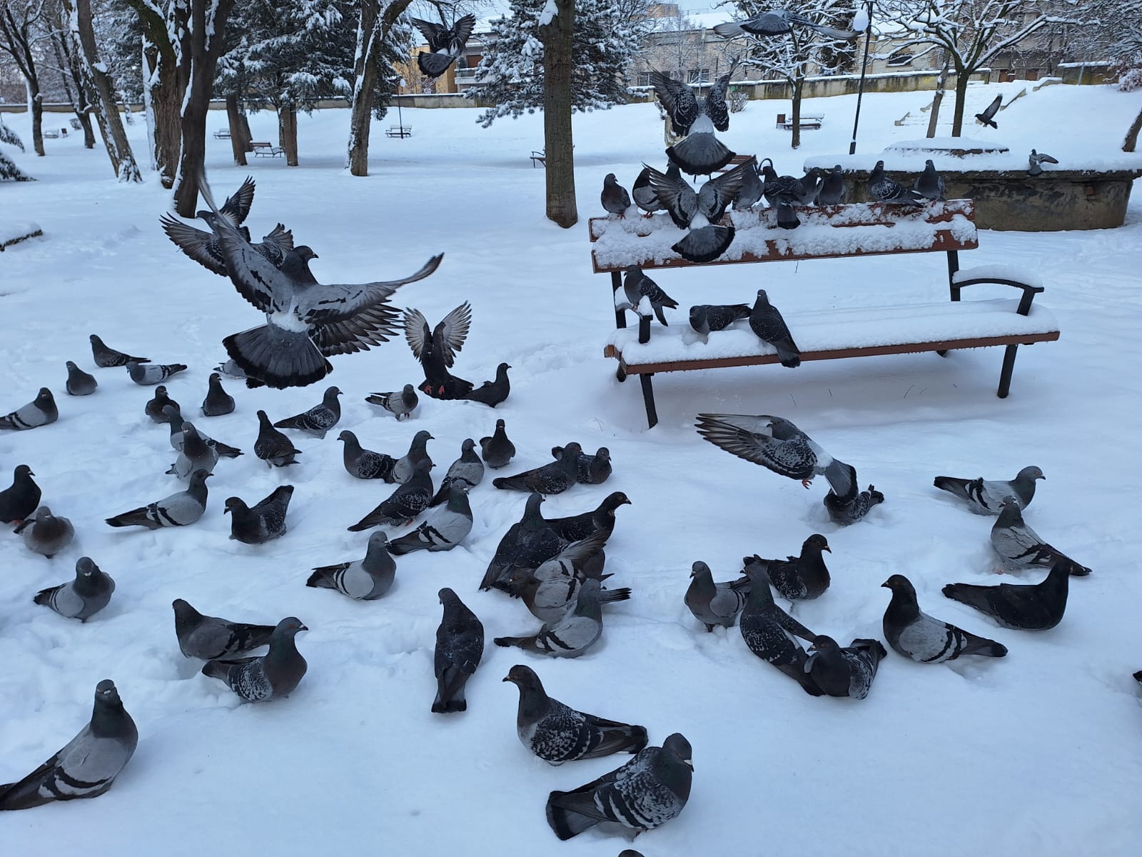 dd925b4b-e972-4088-86f9-3e41268d54c8