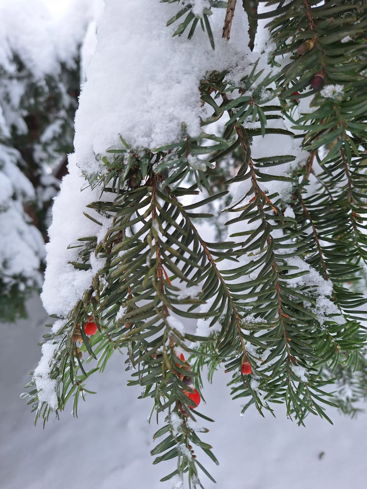 e7dddccf-de8a-4e2f-85a5-e669bdcc8d6f