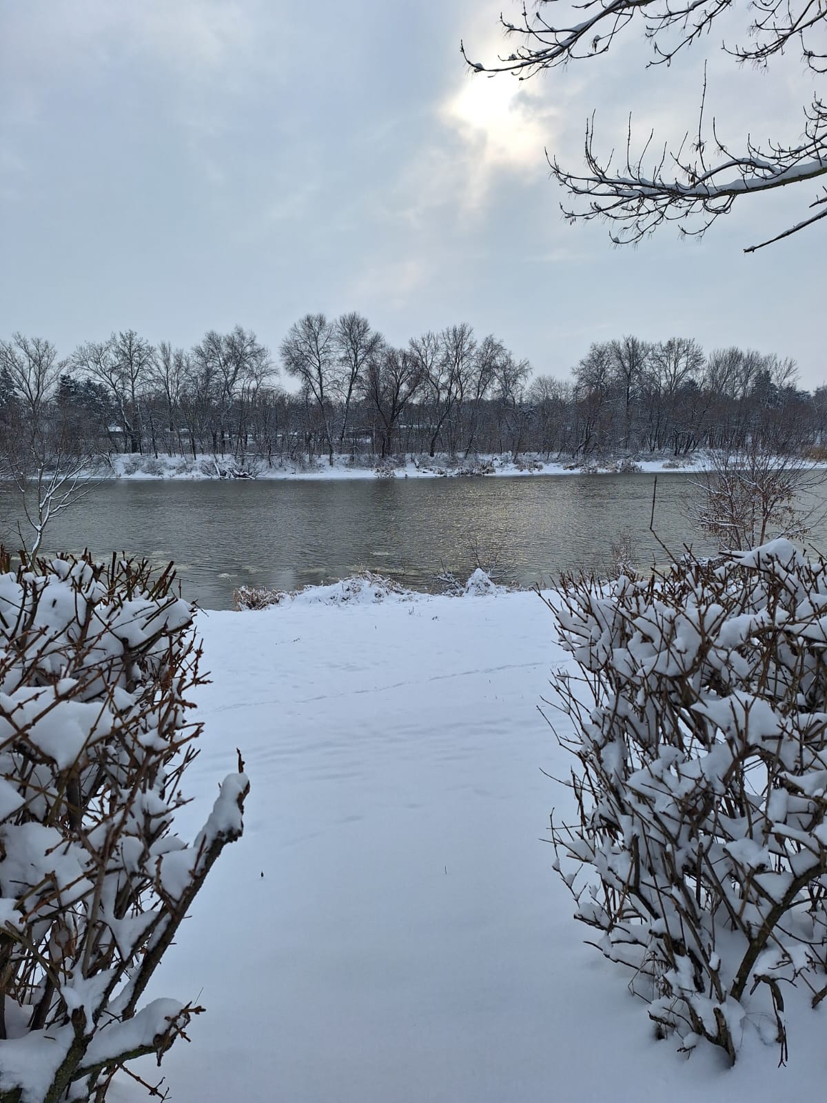 e7468b04-2af9-4278-a3f8-db104351e5ff