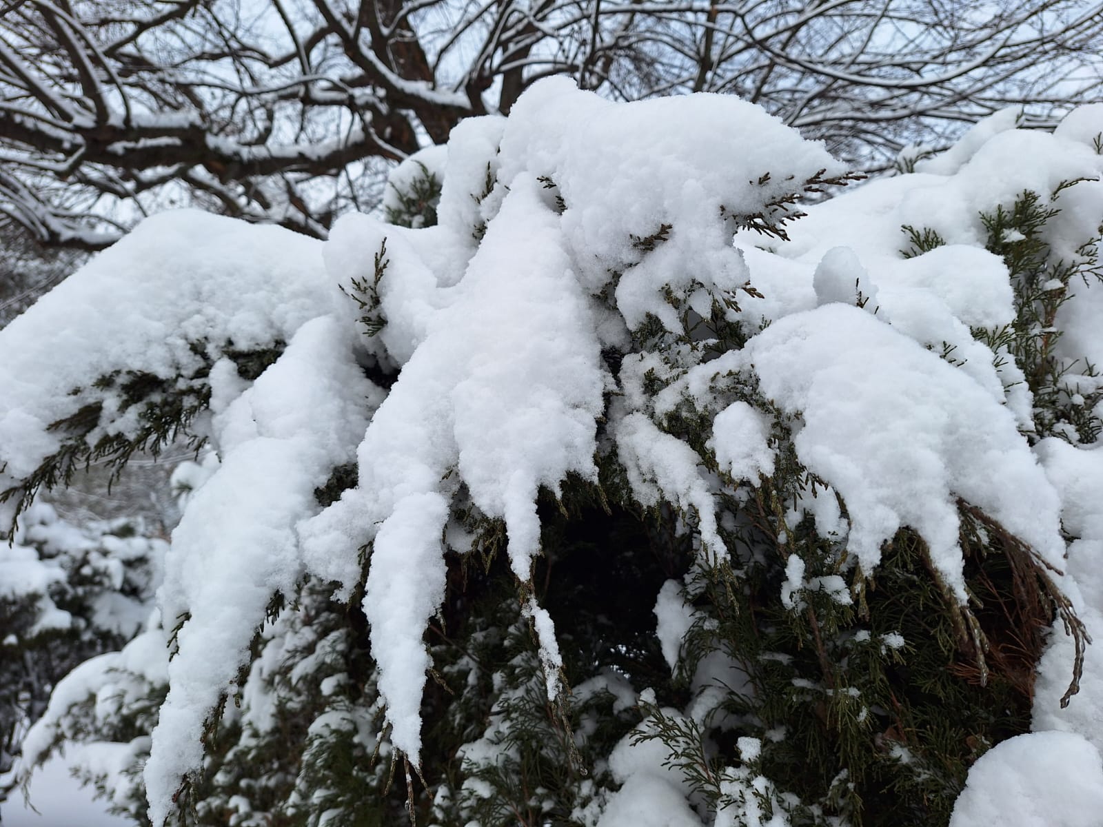 e7753249-e45e-460a-81a4-21a0846e3376