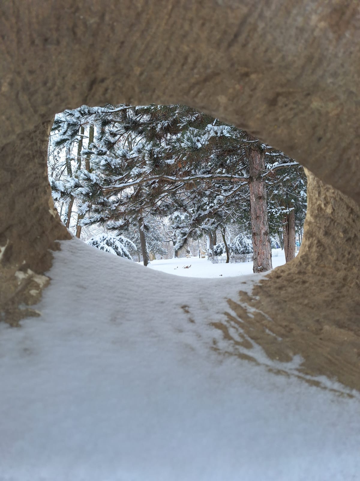 ed023b32-b201-4a62-81ab-55294949e6be