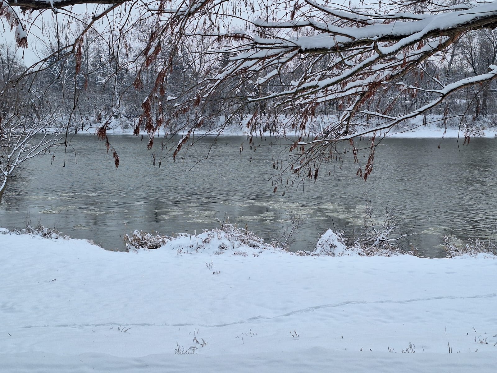 ef86d67c-9deb-4eab-ae74-d4faabf989be