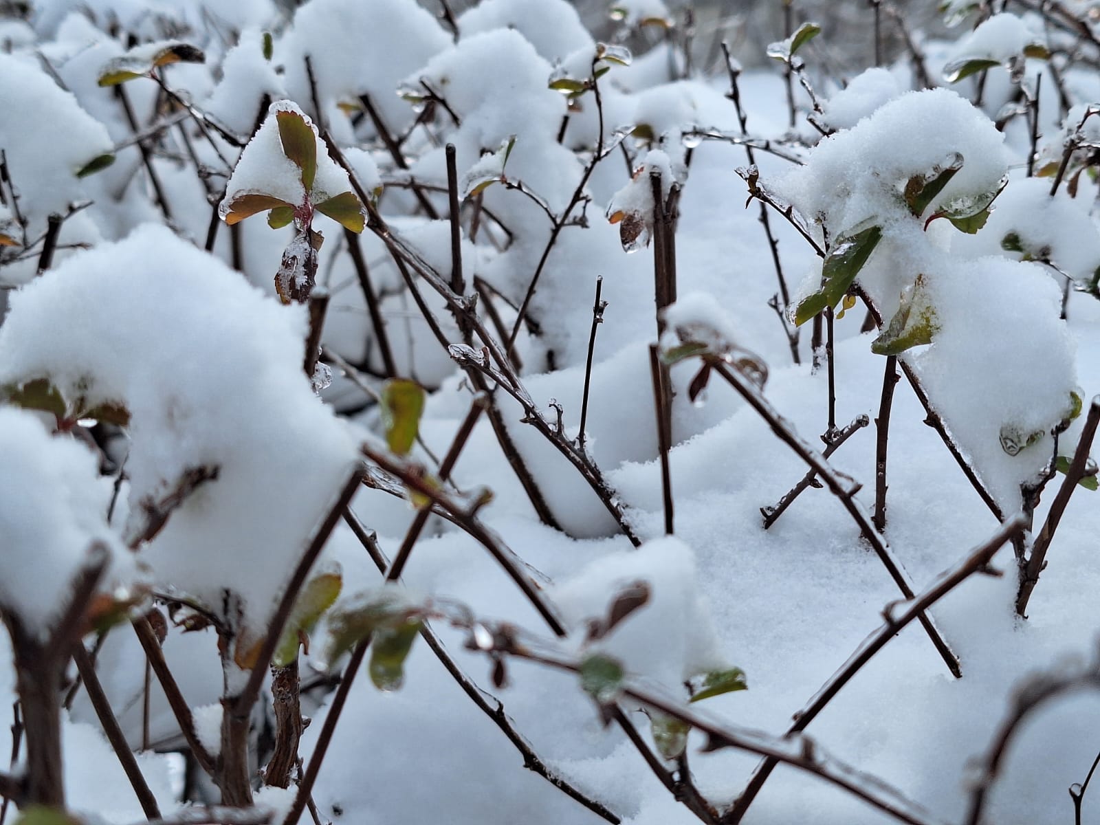 fbea6508-b828-4874-894a-6e2eb2da6819