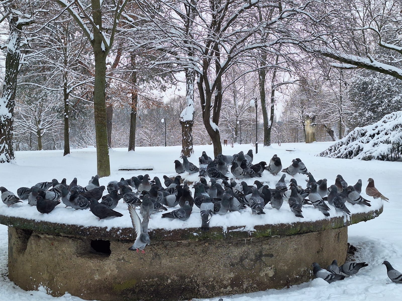 fdbb453c-88df-4585-b960-4526886fb5f0