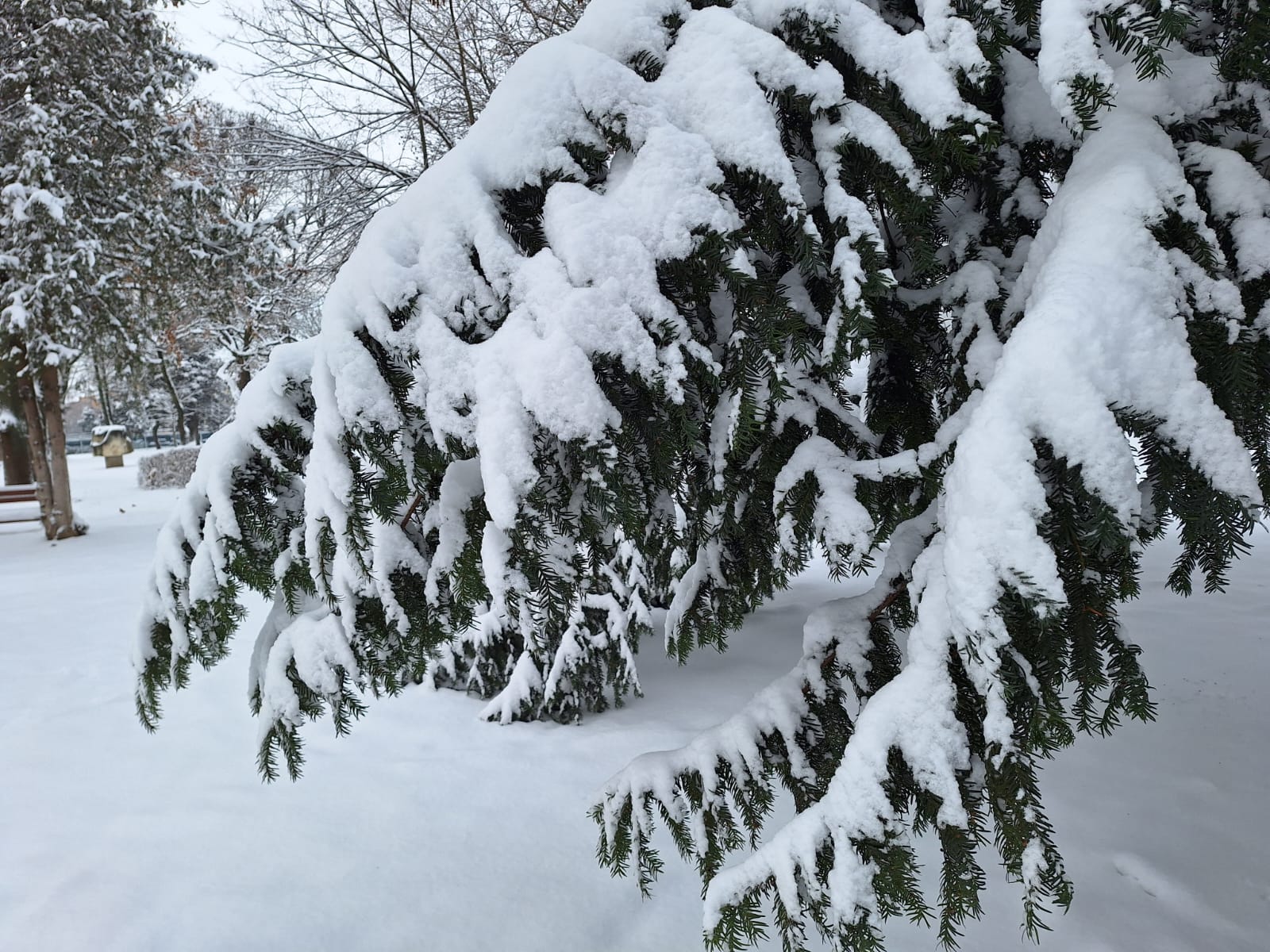 ff47b4d1-9033-4c1b-a6df-9063ba652591