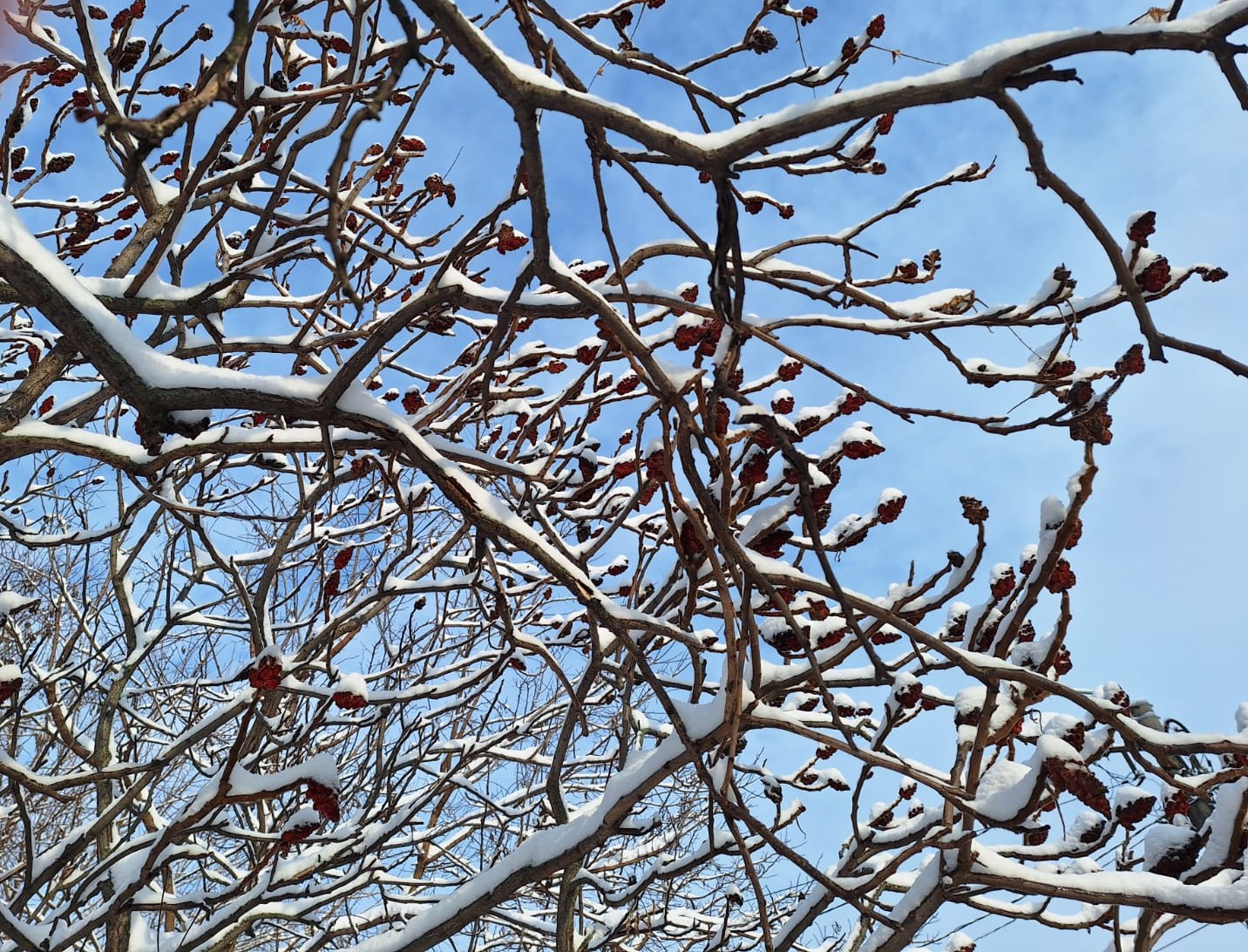 ff47b4d1-9033-4c1b-a6df-9063ba652592