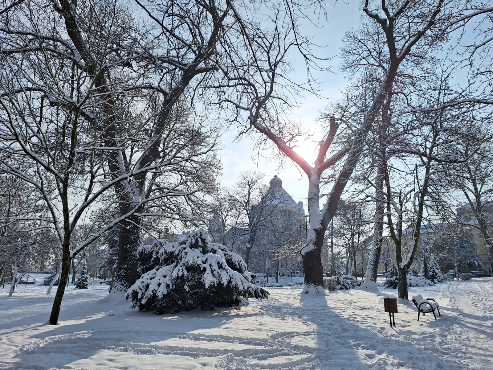 ff47b4d1-9033-4c1b-a6df-9063ba652593