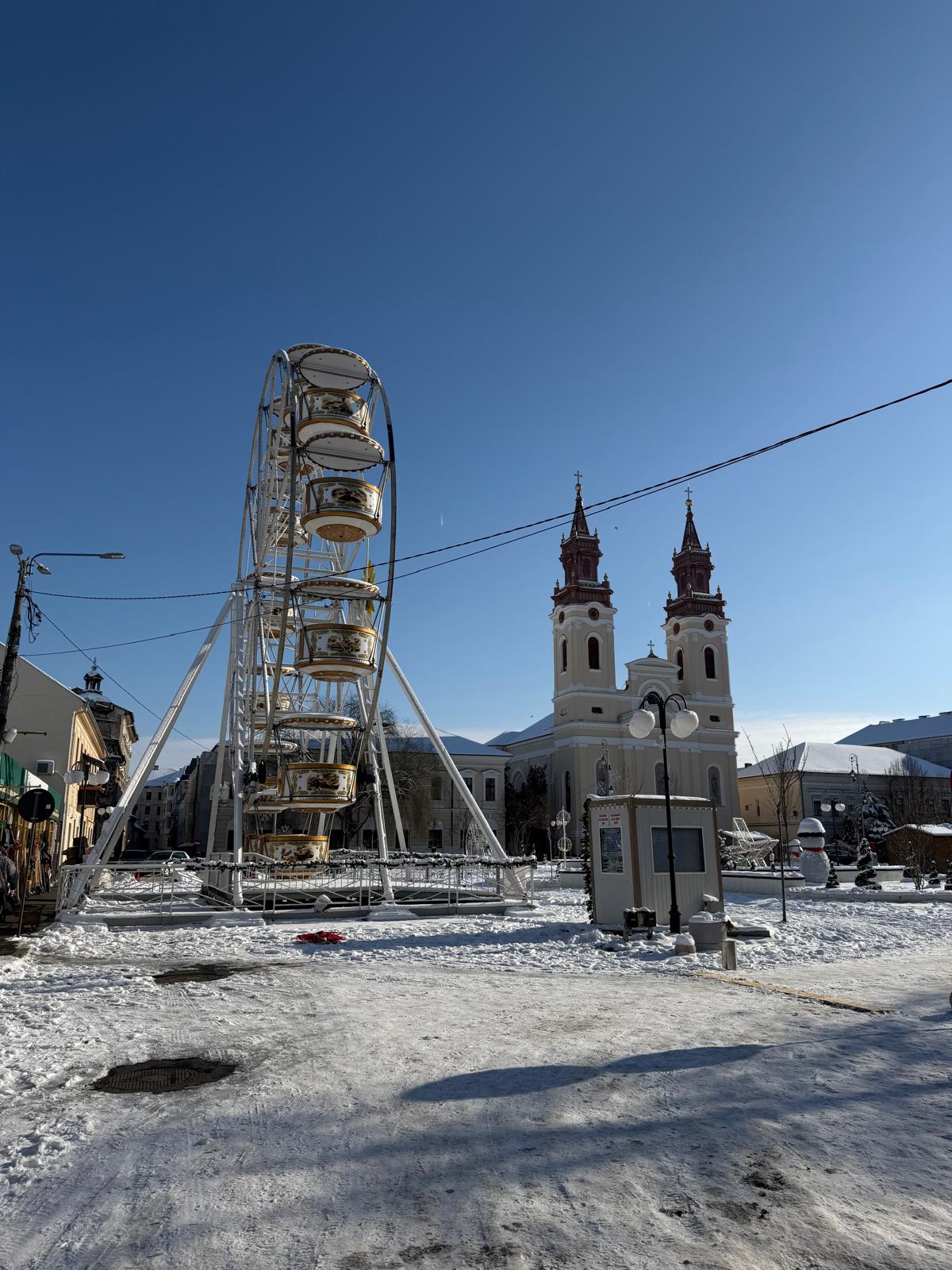 WhatsApp Image 2026-01-12 at 15.46.05