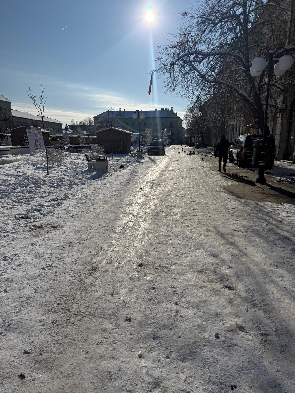 WhatsApp Image 2026-01-12 at 15.46.05 (1)