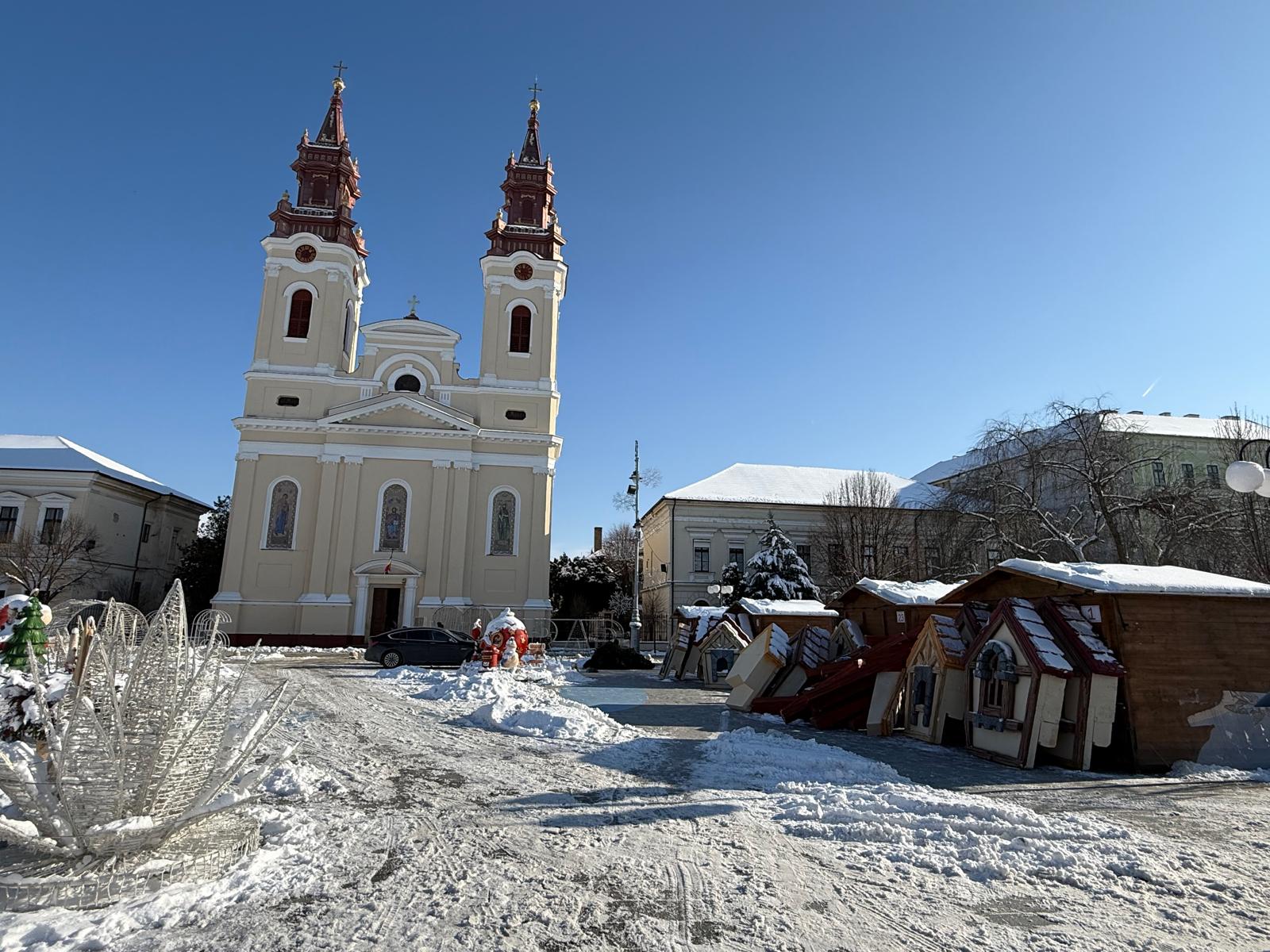 WhatsApp Image 2026-01-12 at 15.46.05 (5)