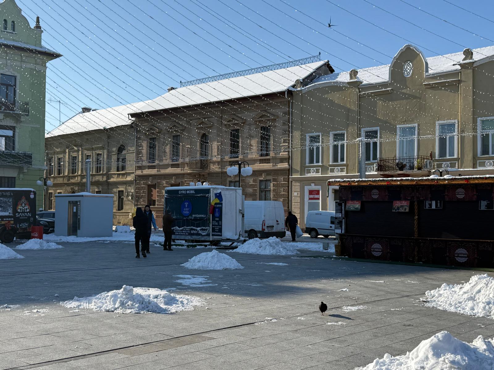 WhatsApp Image 2026-01-12 at 15.46.05 (10)