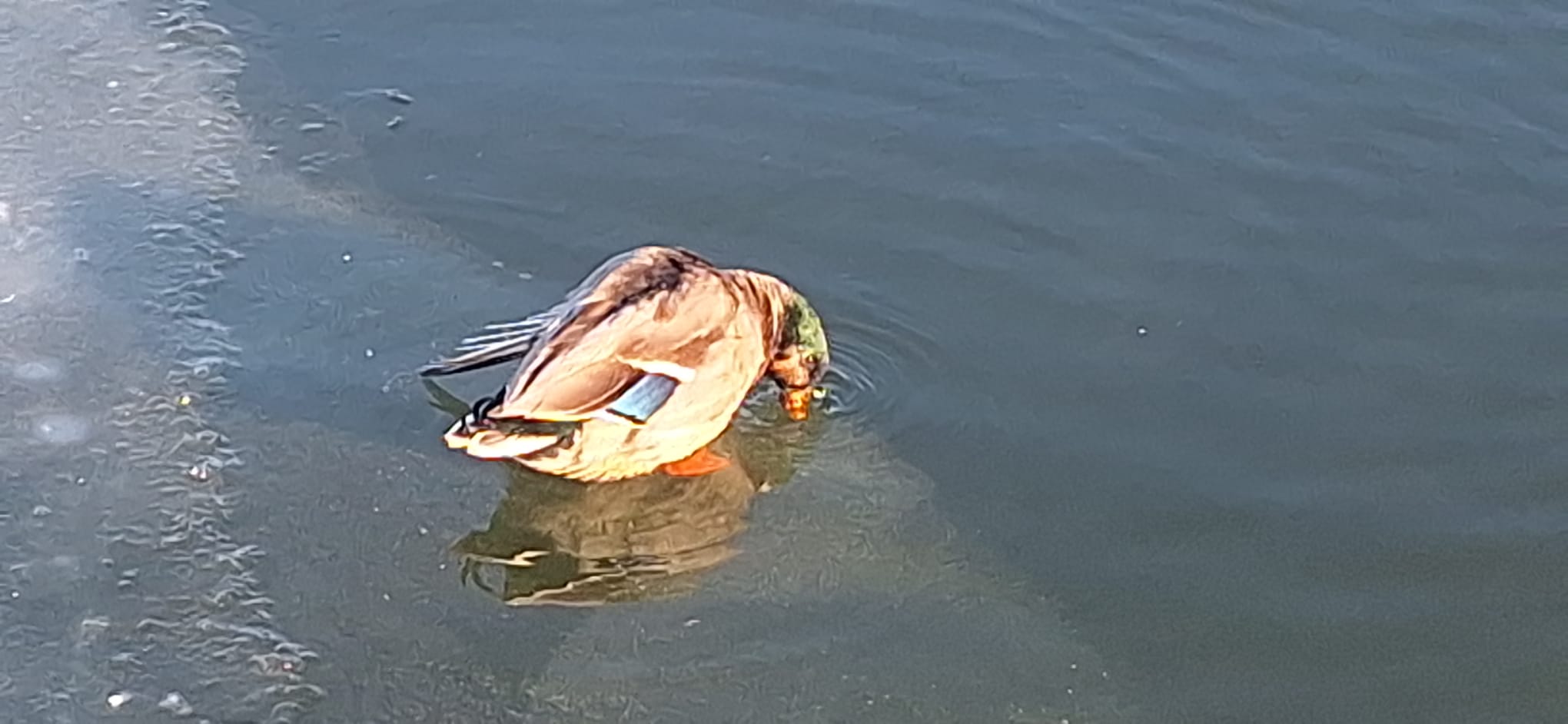 WhatsApp Image 2026-01-12 at 16.19.28 (1)