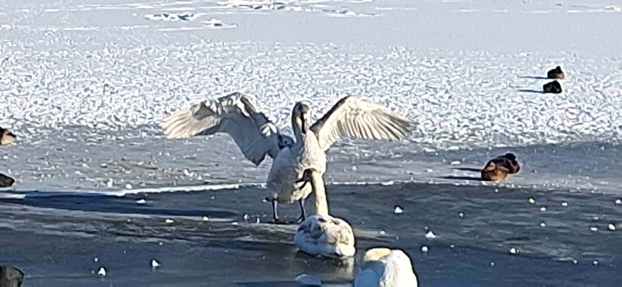 WhatsApp Image 2026-01-12 at 16.19.28 (2)