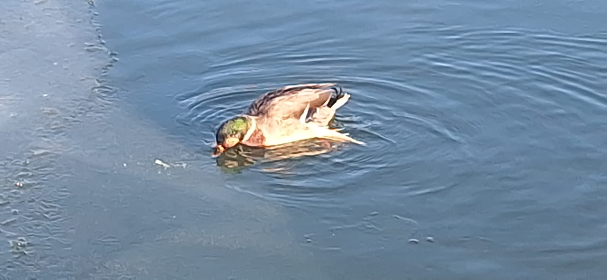 WhatsApp Image 2026-01-12 at 16.19.28 (3)