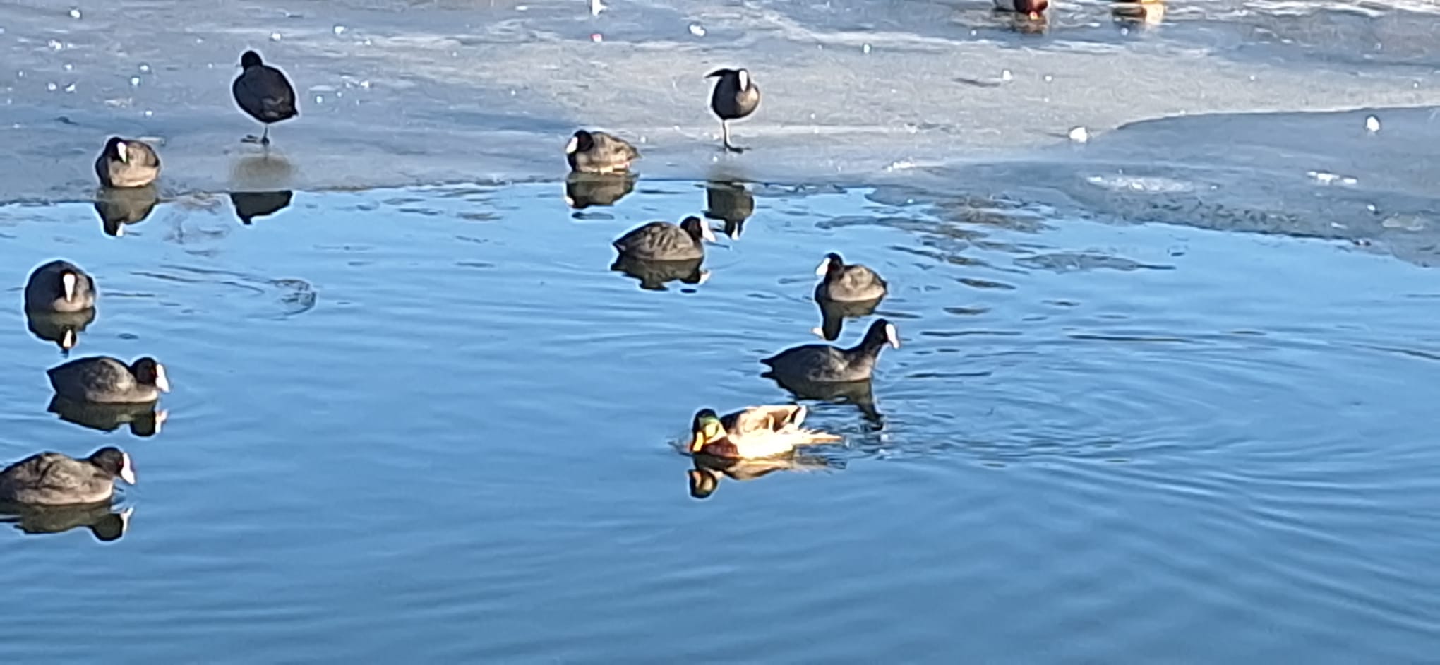 WhatsApp Image 2026-01-12 at 16.19.28