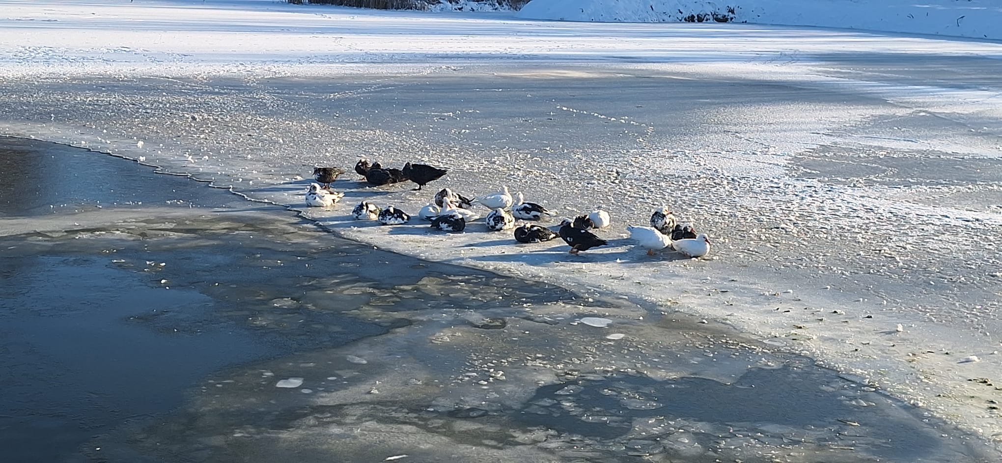 WhatsApp Image 2026-01-12 at 16.19.28 (4)