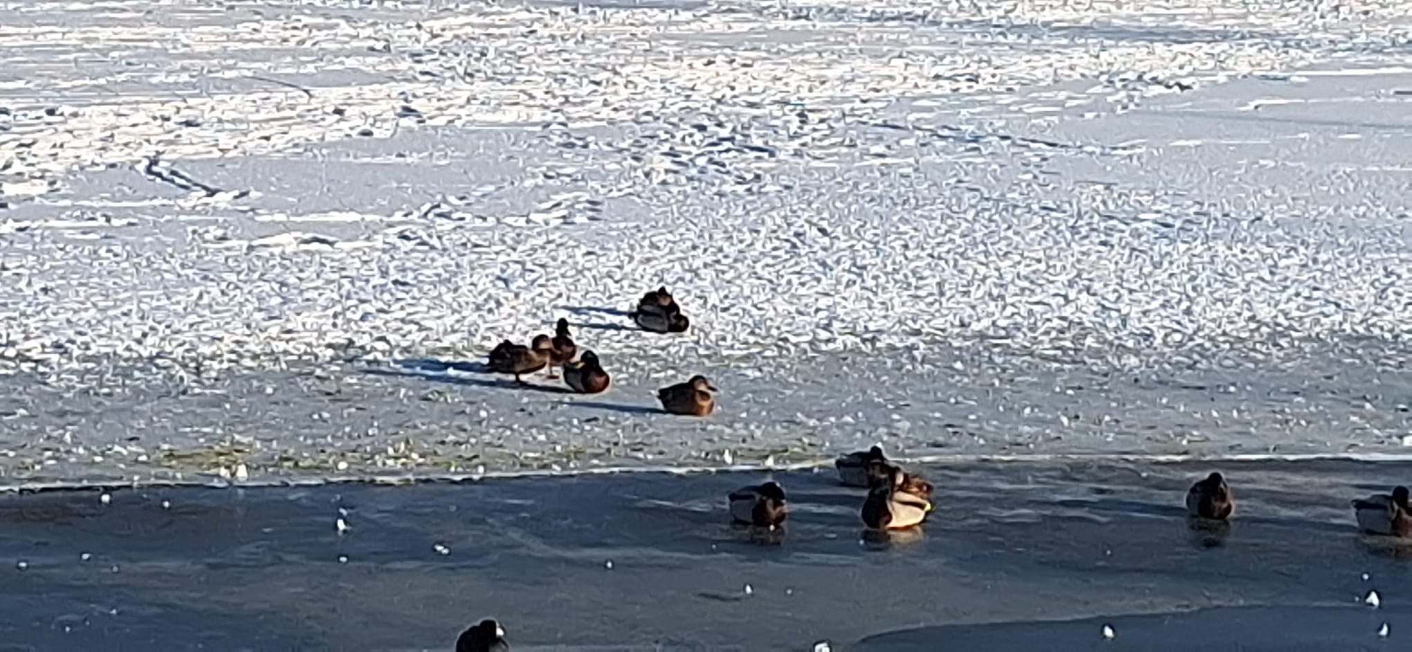 WhatsApp Image 2026-01-12 at 16.19.29 (1)