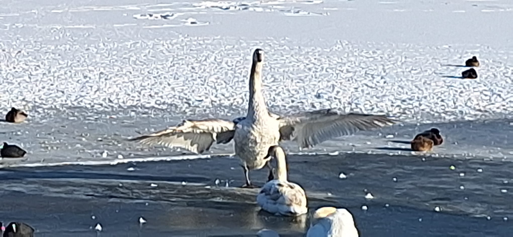 WhatsApp Image 2026-01-12 at 16.19.29 (2)