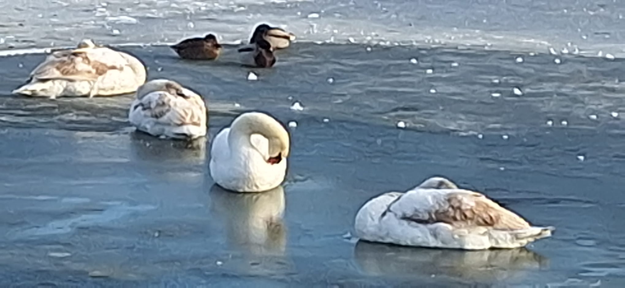 WhatsApp Image 2026-01-12 at 16.19.29 (3)