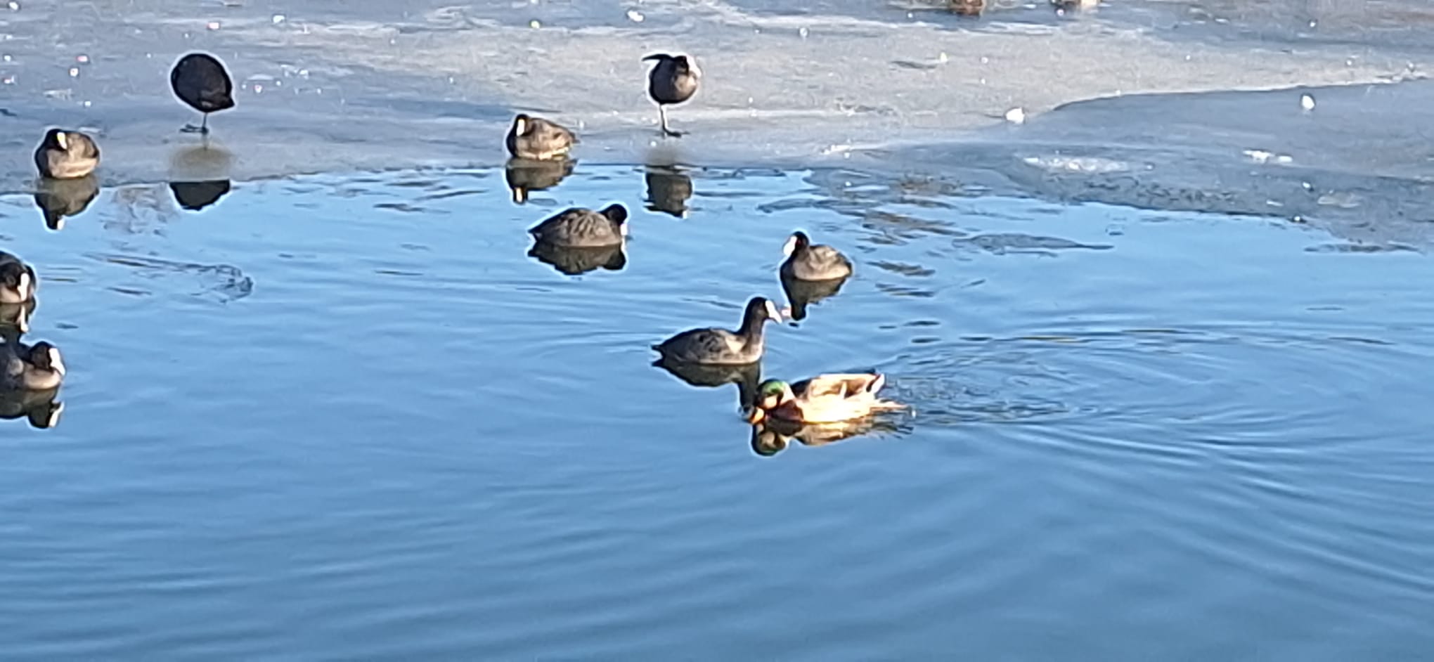 WhatsApp Image 2026-01-12 at 16.19.29 (4)