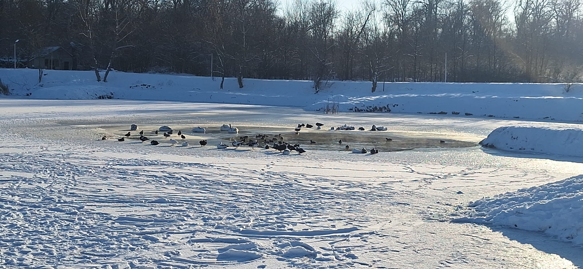 WhatsApp Image 2026-01-12 at 16.19.29 (5)