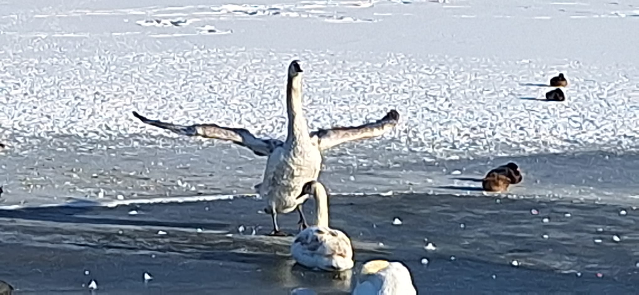 WhatsApp Image 2026-01-12 at 16.19.29