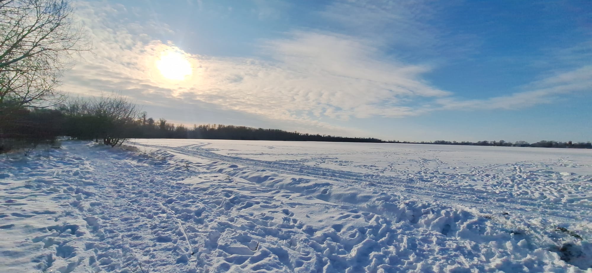 WhatsApp Image 2026-01-12 at 16.19.30 (2)