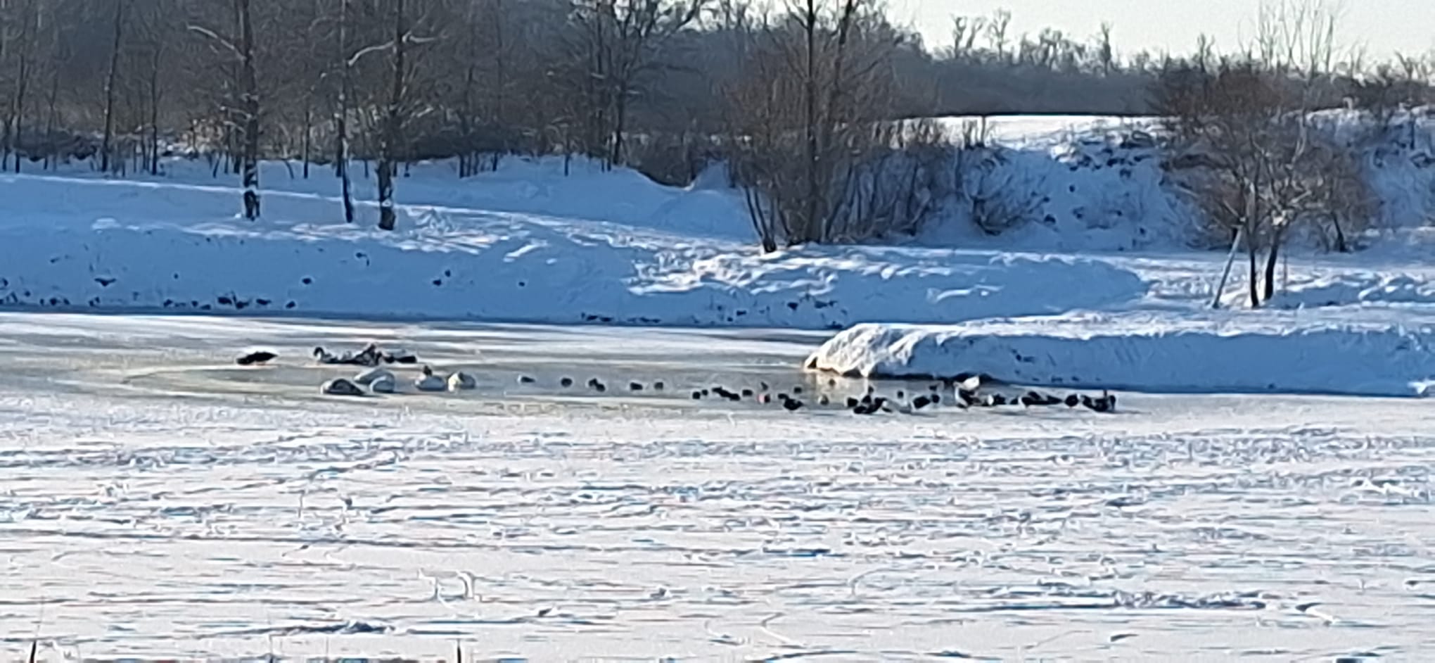 WhatsApp Image 2026-01-12 at 16.19.30 (4)