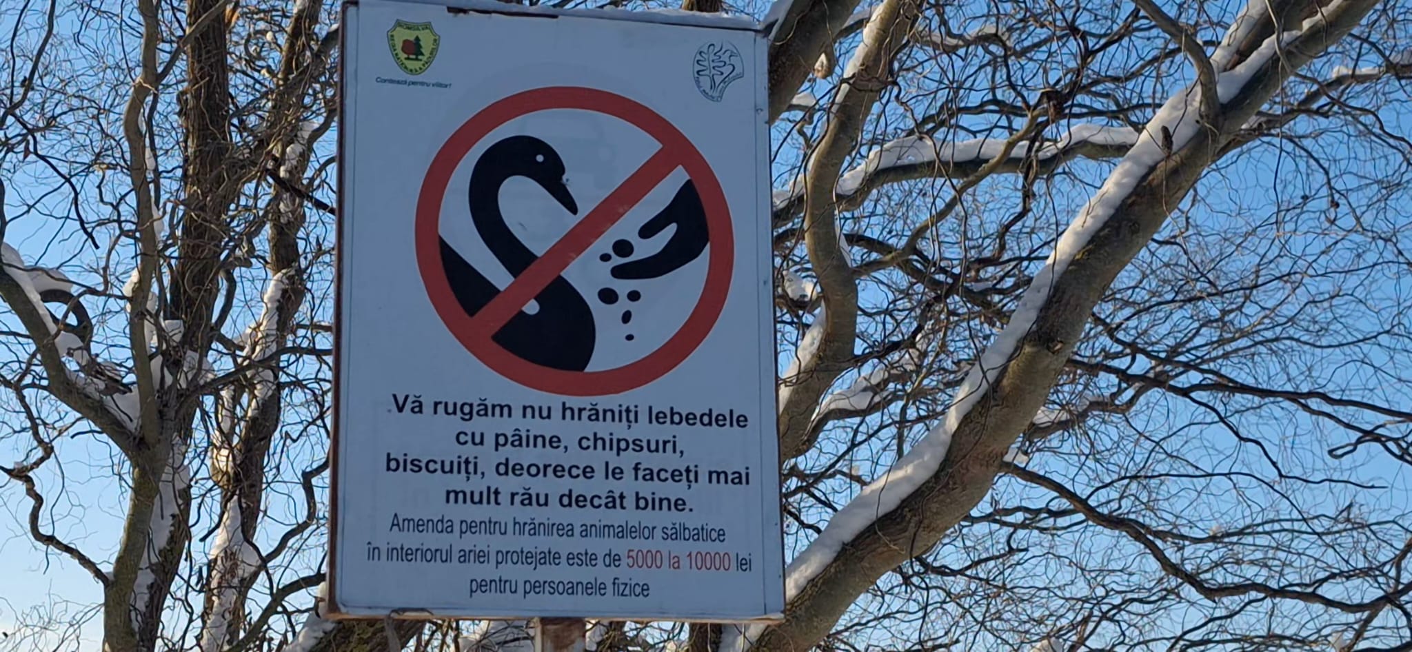 WhatsApp Image 2026-01-12 at 16.19.30 (5)