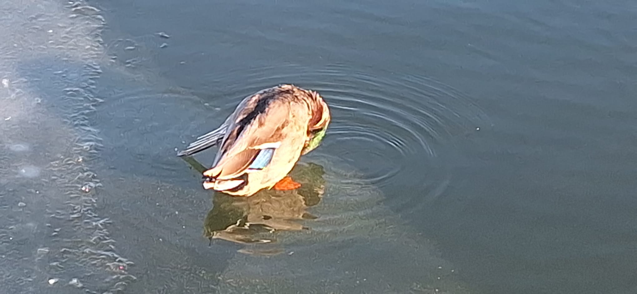 WhatsApp Image 2026-01-12 at 16.19.30 (6)