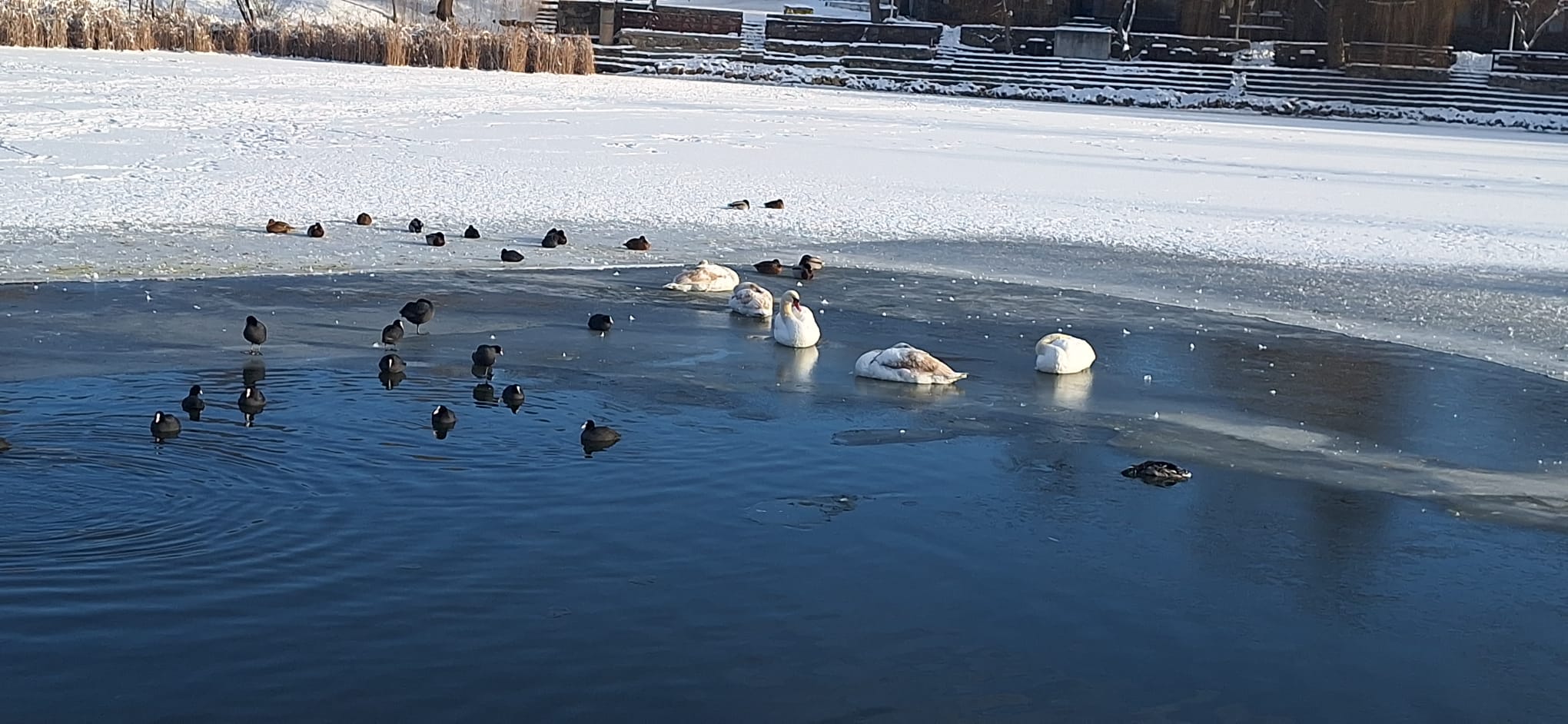 WhatsApp Image 2026-01-12 at 16.19.30