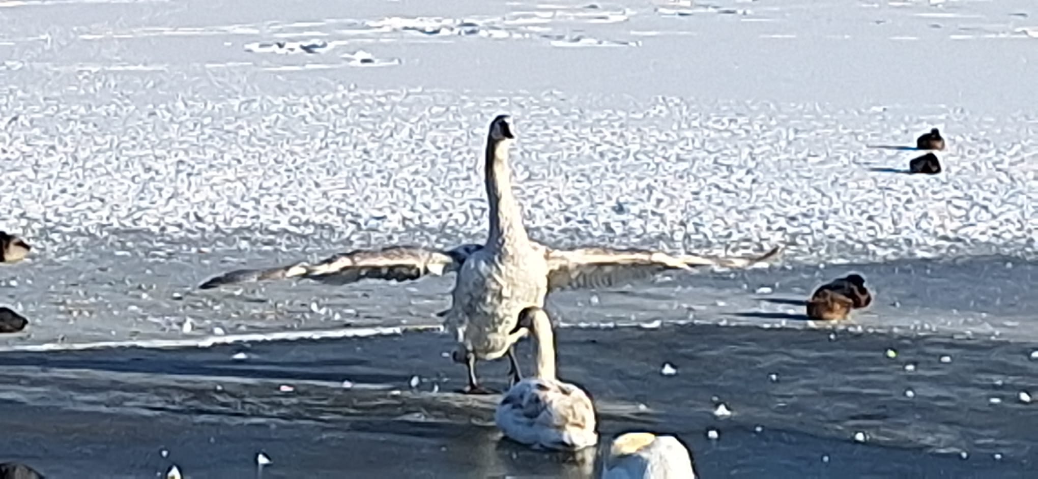 WhatsApp Image 2026-01-12 at 16.19.31 (1)