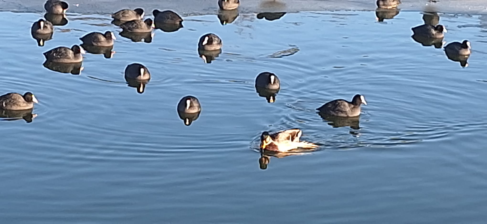 WhatsApp Image 2026-01-12 at 16.19.31 (3)