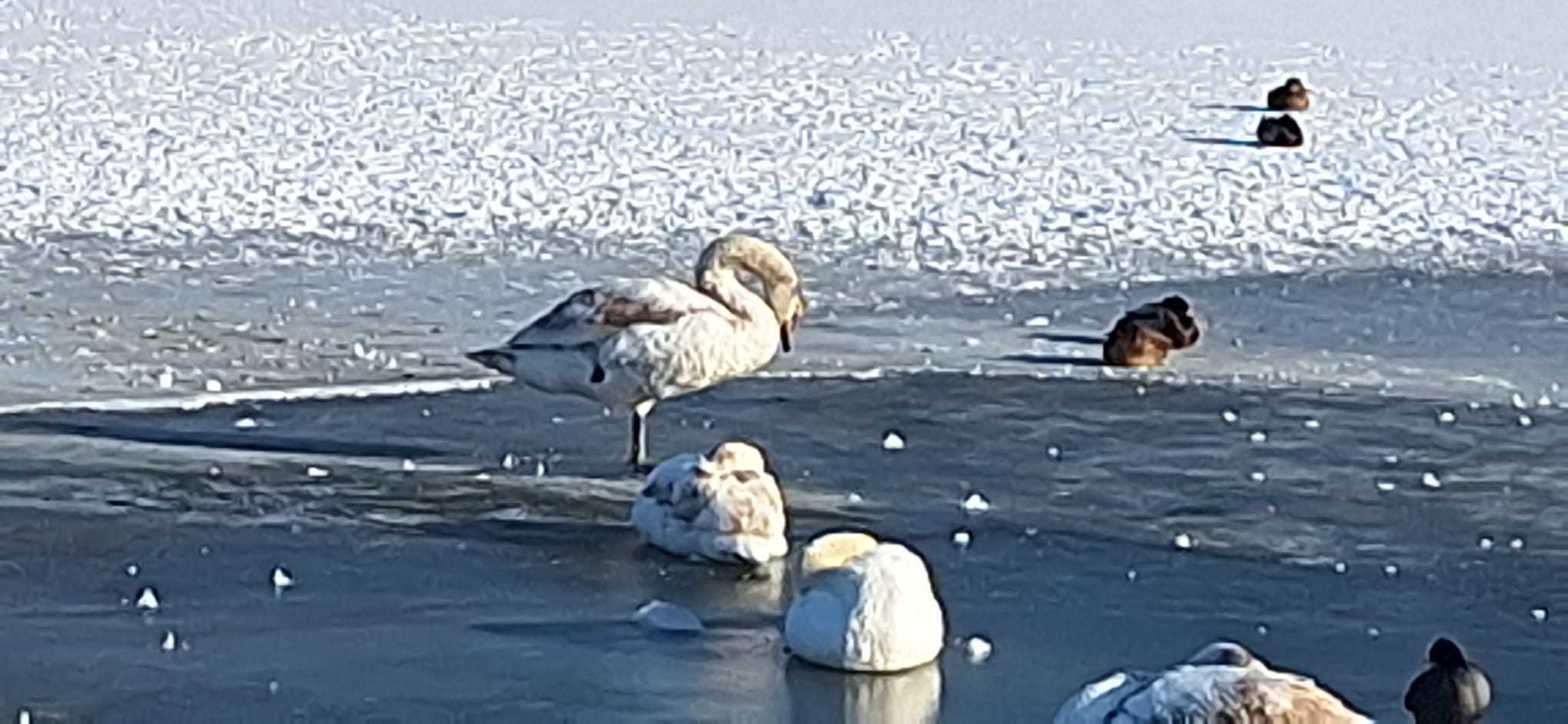 WhatsApp Image 2026-01-12 at 16.19.31 (5)