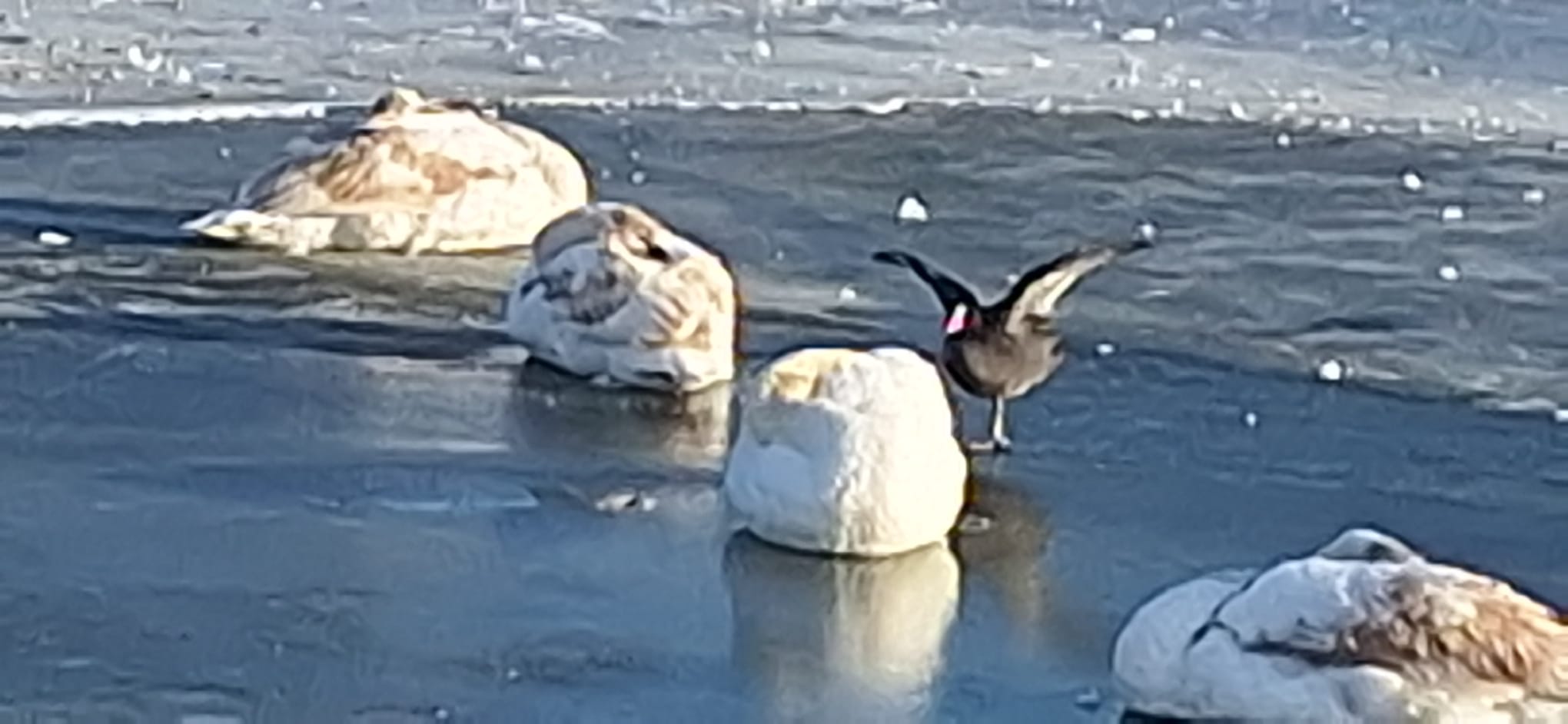 WhatsApp Image 2026-01-12 at 16.19.31 (6)