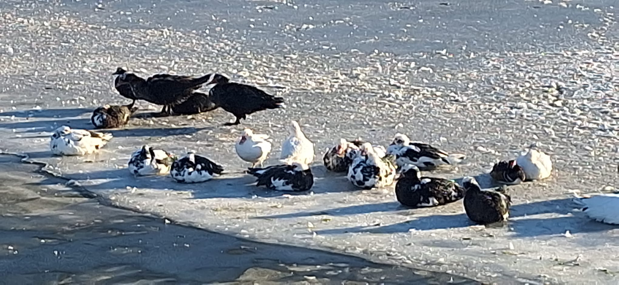 WhatsApp Image 2026-01-12 at 16.19.31