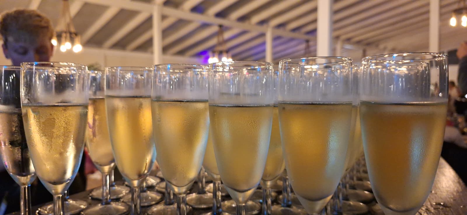 WhatsApp Image 2026-01-14 at 16.40.20 (3)