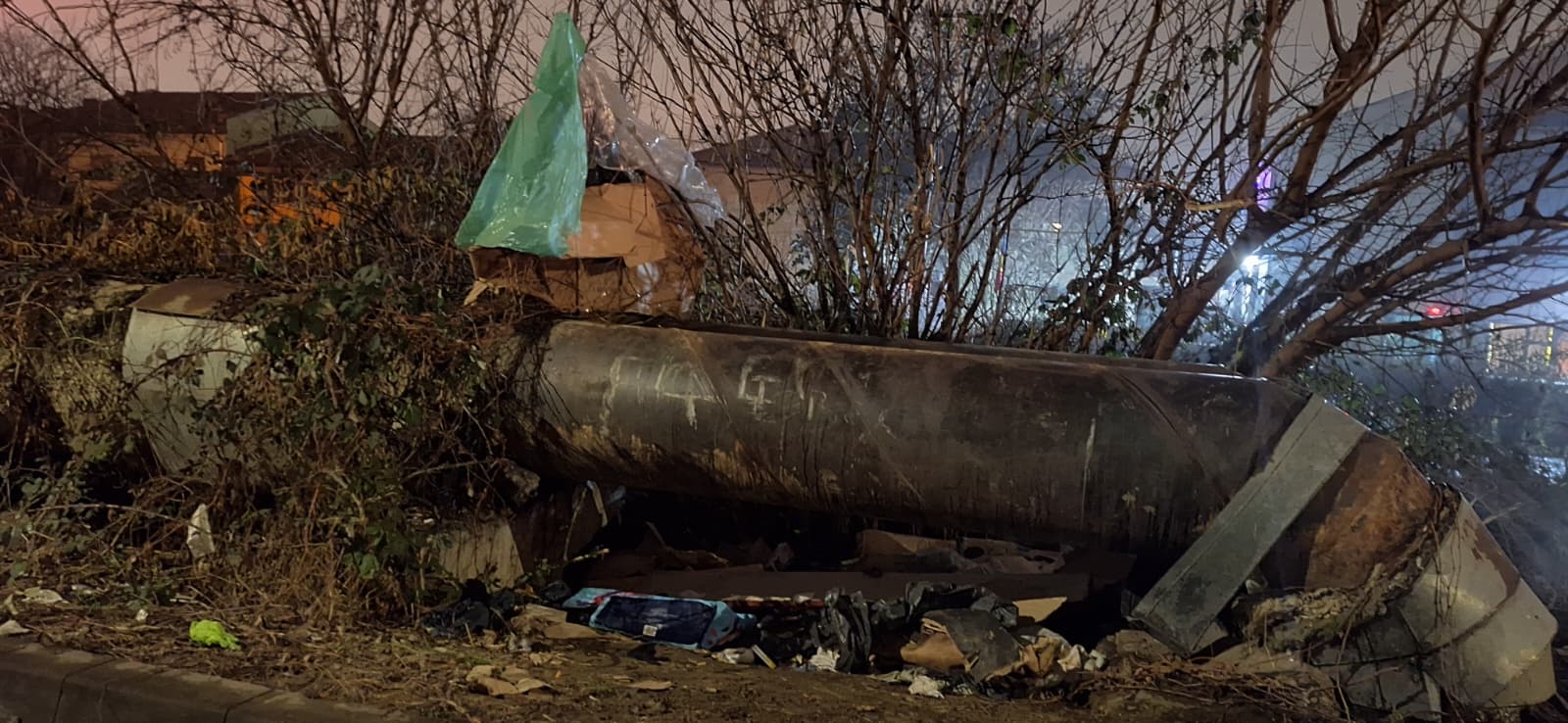 WhatsApp Image 2026-01-19 at 13.26.10 (2)