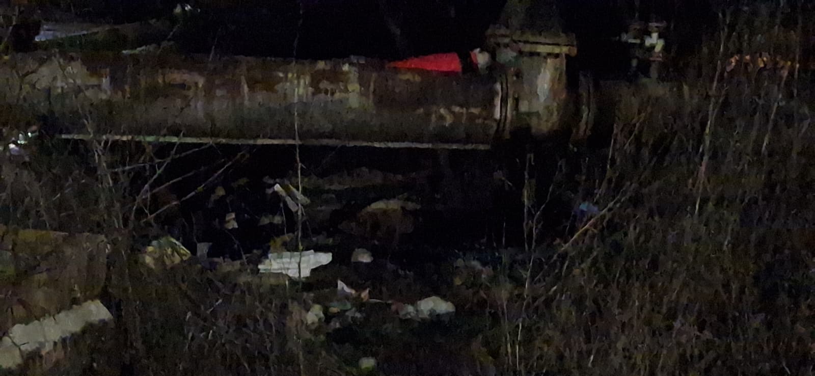 WhatsApp Image 2026-01-19 at 13.26.12