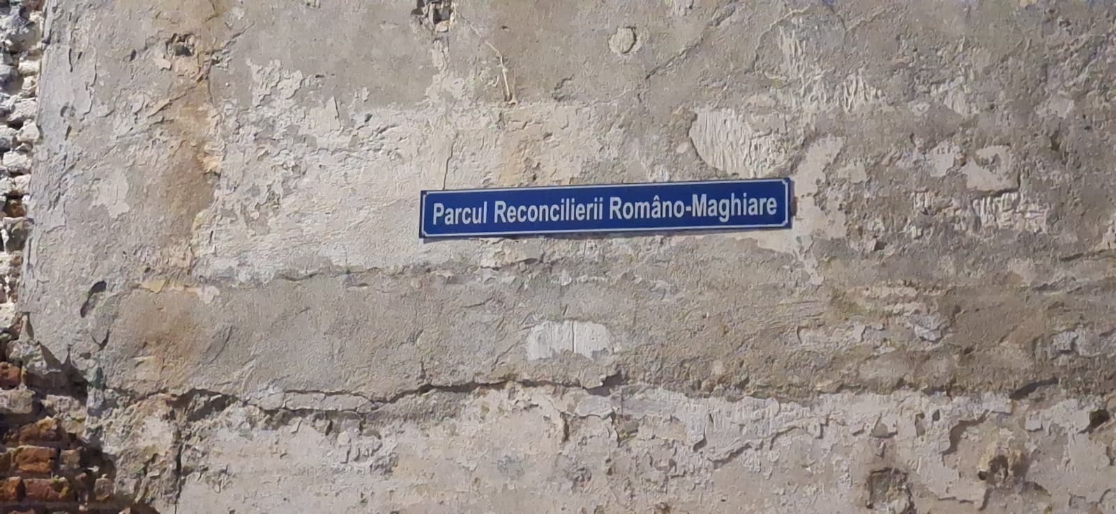 WhatsApp Image 2026-01-26 at 1.54.21 AM (7)