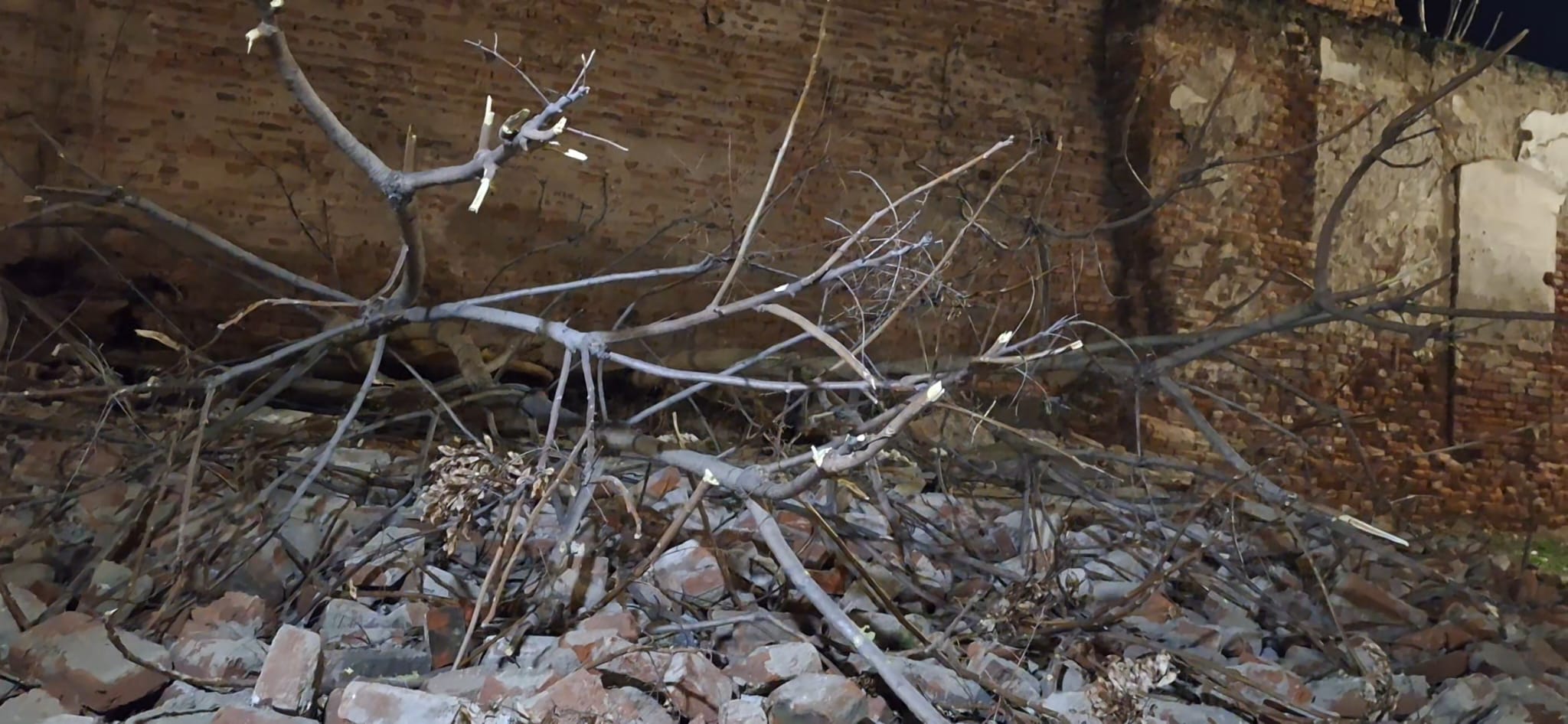 WhatsApp Image 2026-01-26 at 1.54.18 AM (2)