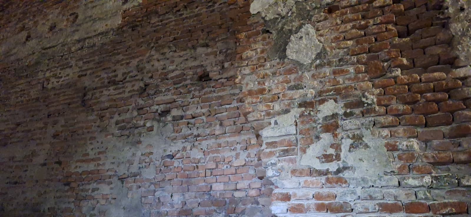 WhatsApp Image 2026-01-26 at 1.54.18 AM (3)