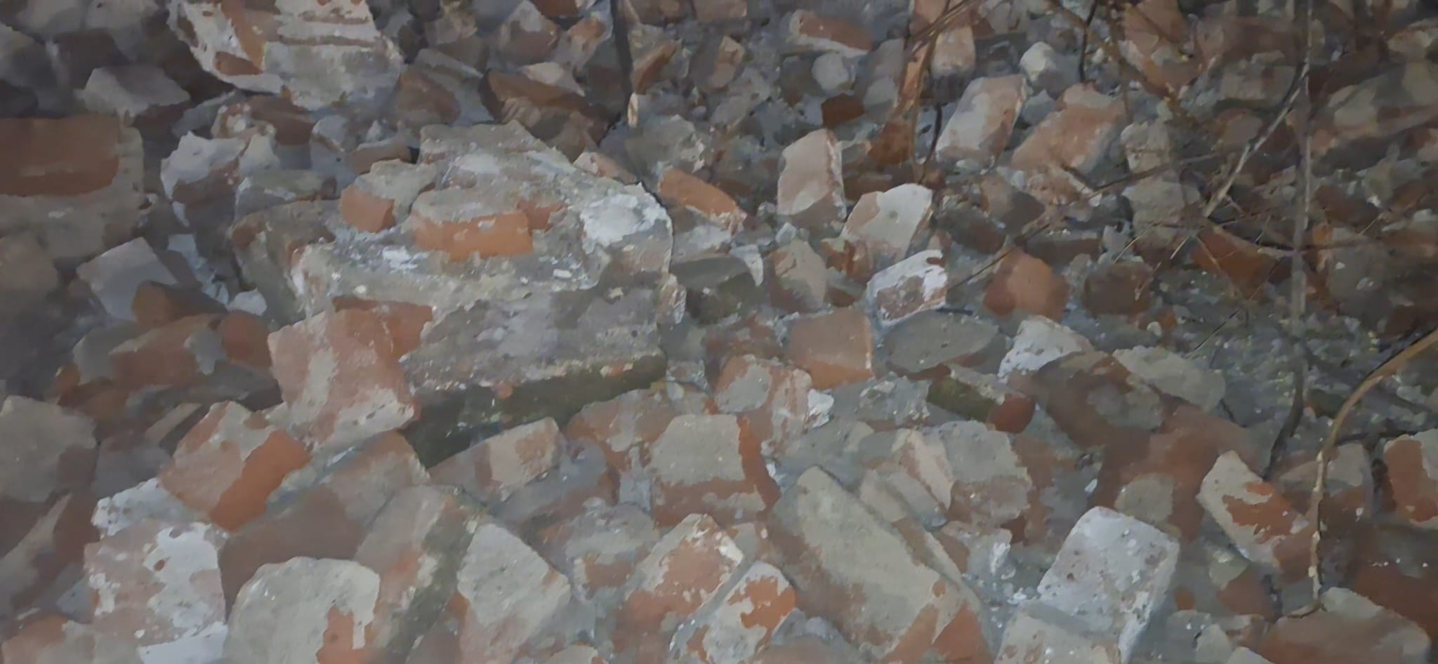 WhatsApp Image 2026-01-26 at 1.54.19 AM (2)