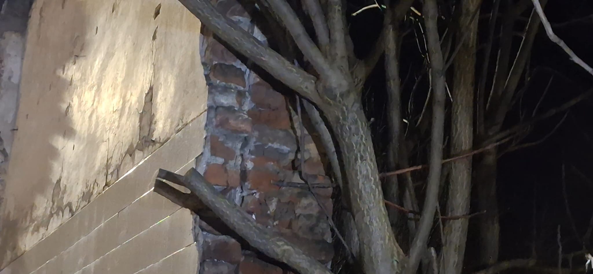 WhatsApp Image 2026-01-26 at 1.54.20 AM (5)