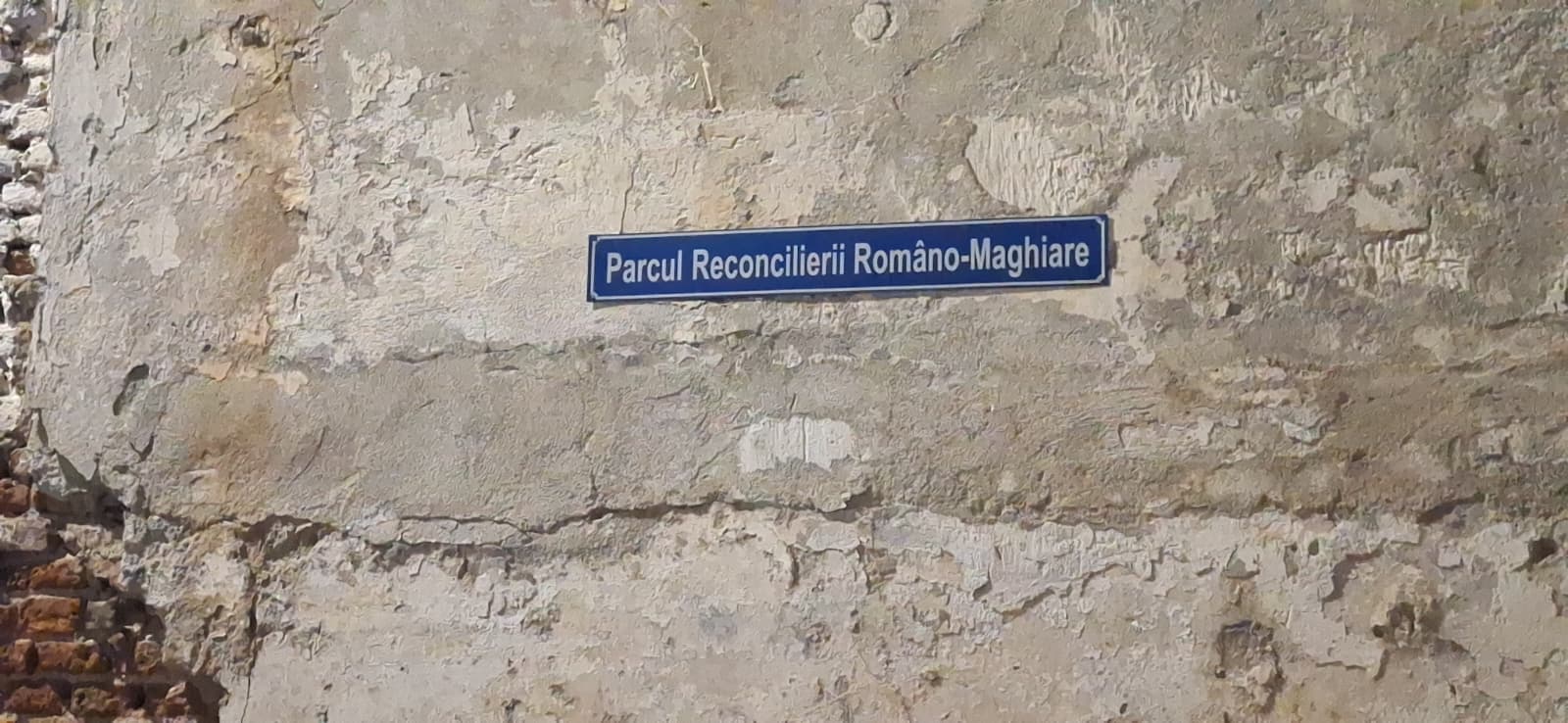 WhatsApp Image 2026-01-26 at 1.54.20 AM (6)