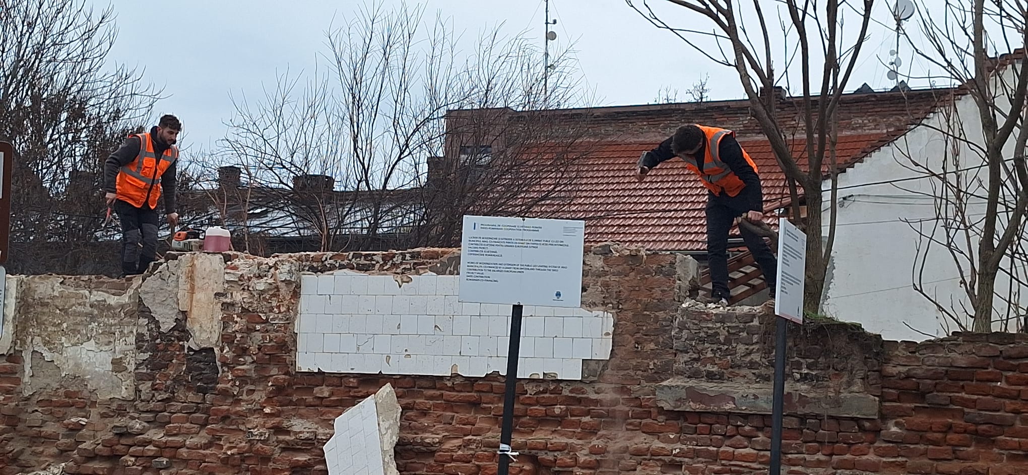 WhatsApp Image 2026-01-26 at 10.53.41 (5)