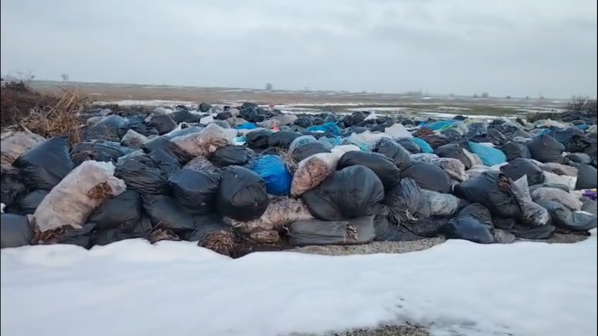 Captură ecran (4749)