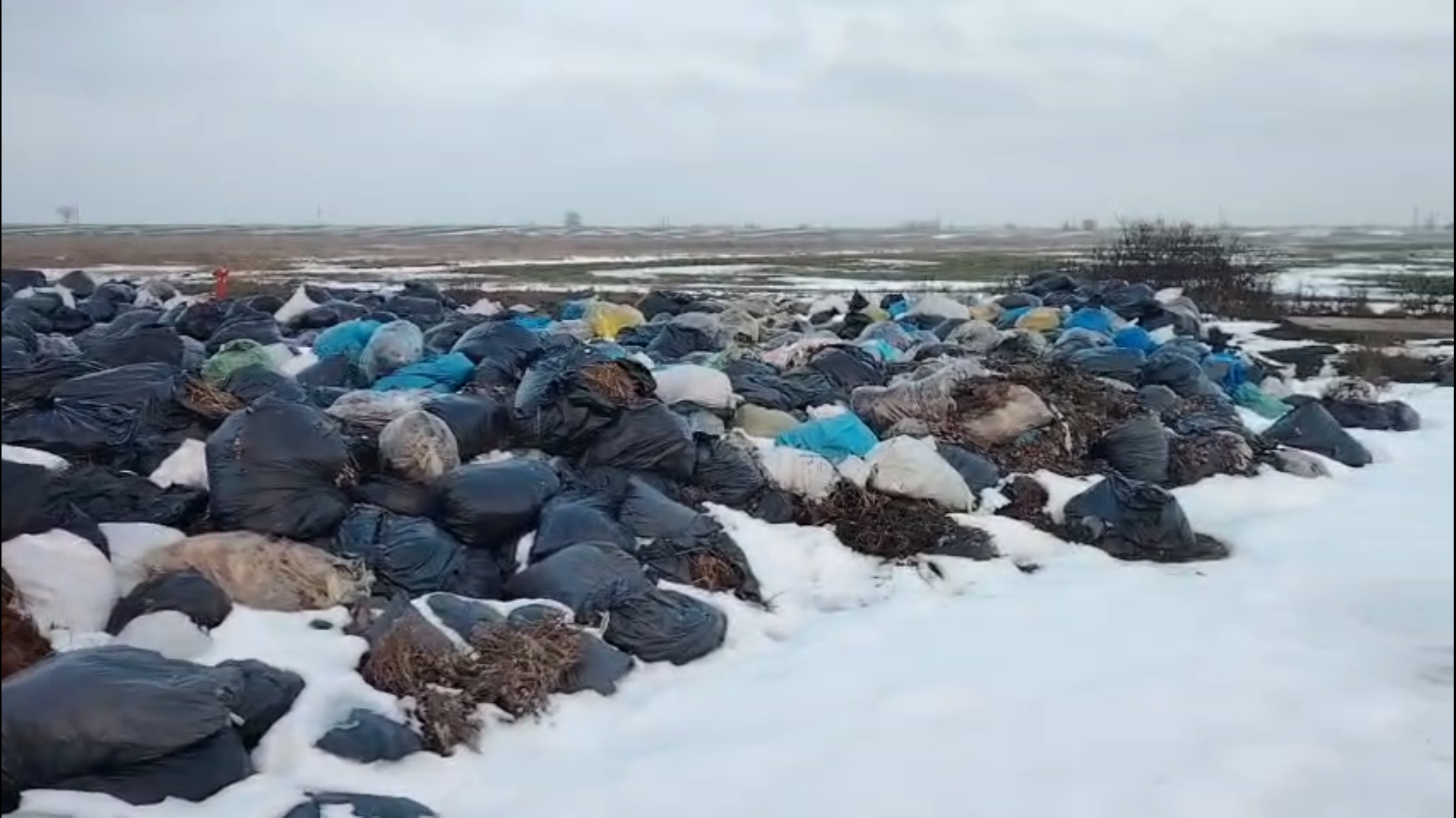 Captură ecran (4751)